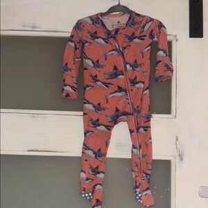 Shark Print Bums and Roses